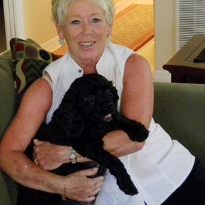 Meet your Posher, Marcy